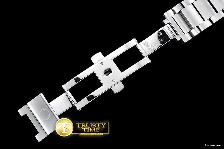 1031 OMG0465H – Aqua Terra 38mm